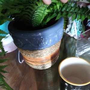 Two fake fern plants